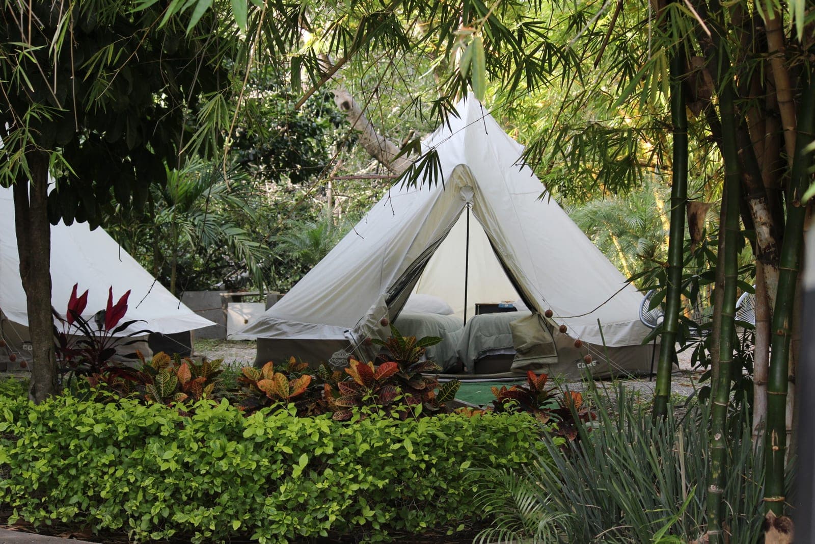 Tienda de glamping en la zona Laureles, entre vegetación